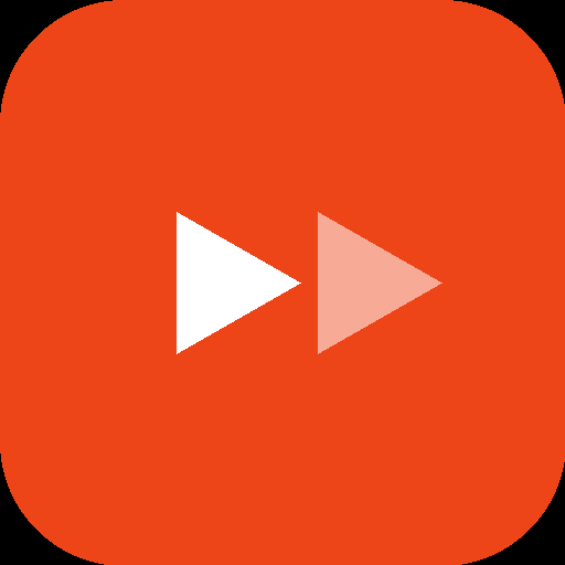 VidSizer